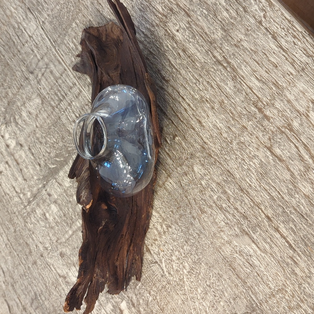 NWT Driftwood and Blown Glass Vase